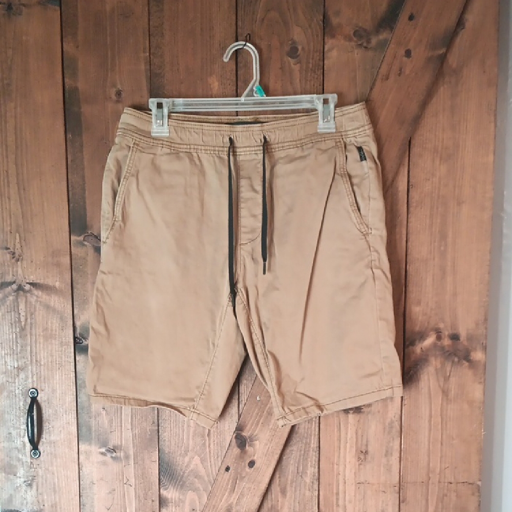 Hollister Men's Brown Flat Front Shorts